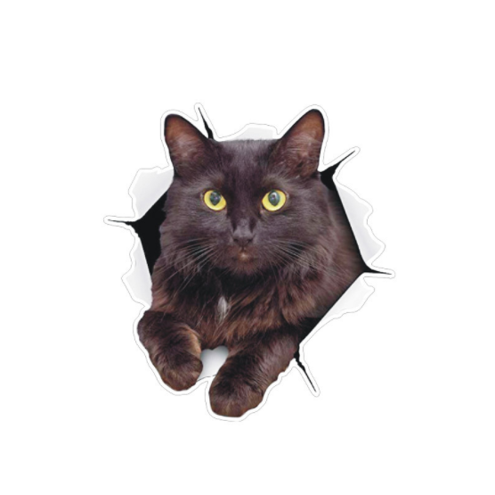 Наклейка на авто AIWA Кот 3D 02137