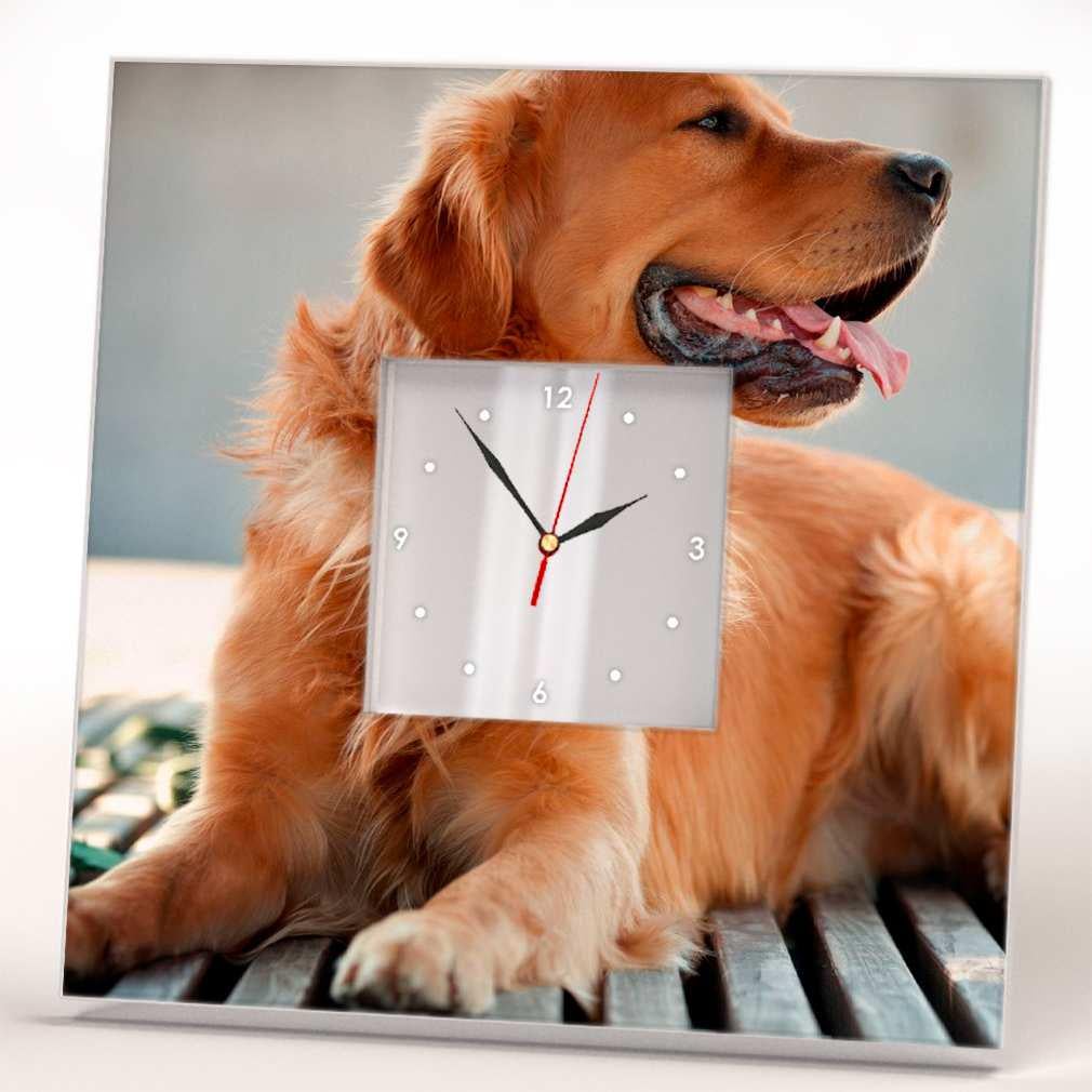 Часы настенные зеркальные WonderCloud золотой ретривер 260x260 мм (C03737)