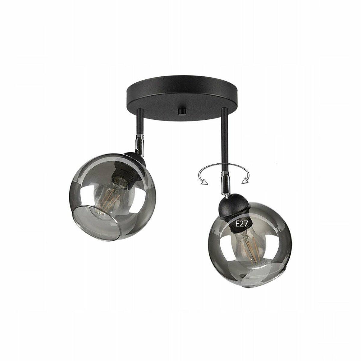 Светильник потолочный Lighthouse SRS-19665/2 BK/SM с поворотным механизмом Черный/Дымчатый