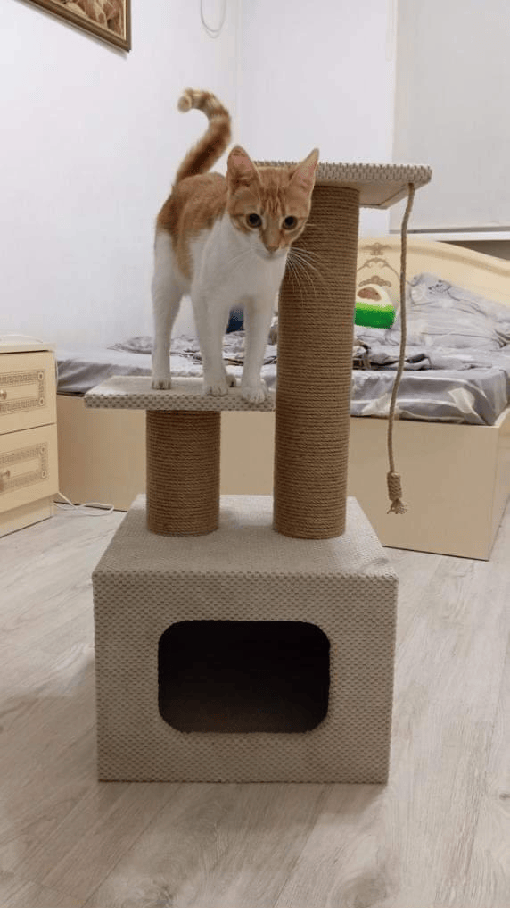 Домик когтеточка с двумя лежанками для кота 75х40х40 см Бежевый - фото 4 Домик когтеточка с двумя лежанками для кота 75х40х40 см Бежевый - фото 4