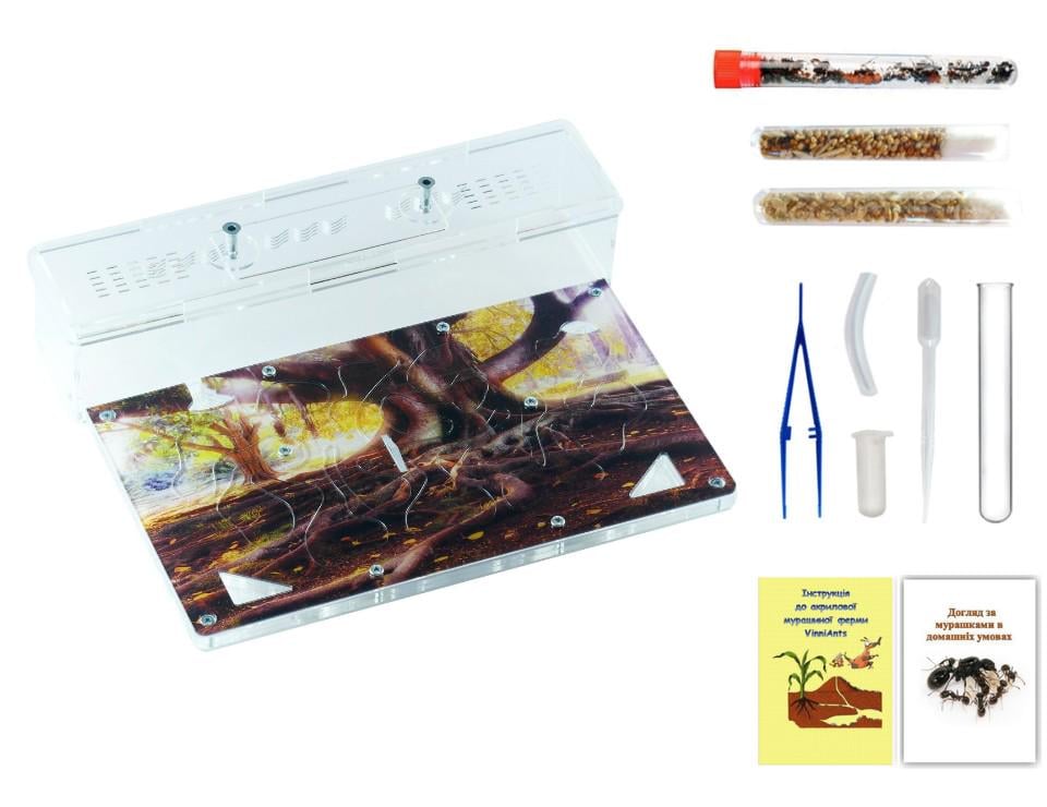 Муравьиная ферма VinniAnts Вечное дерево