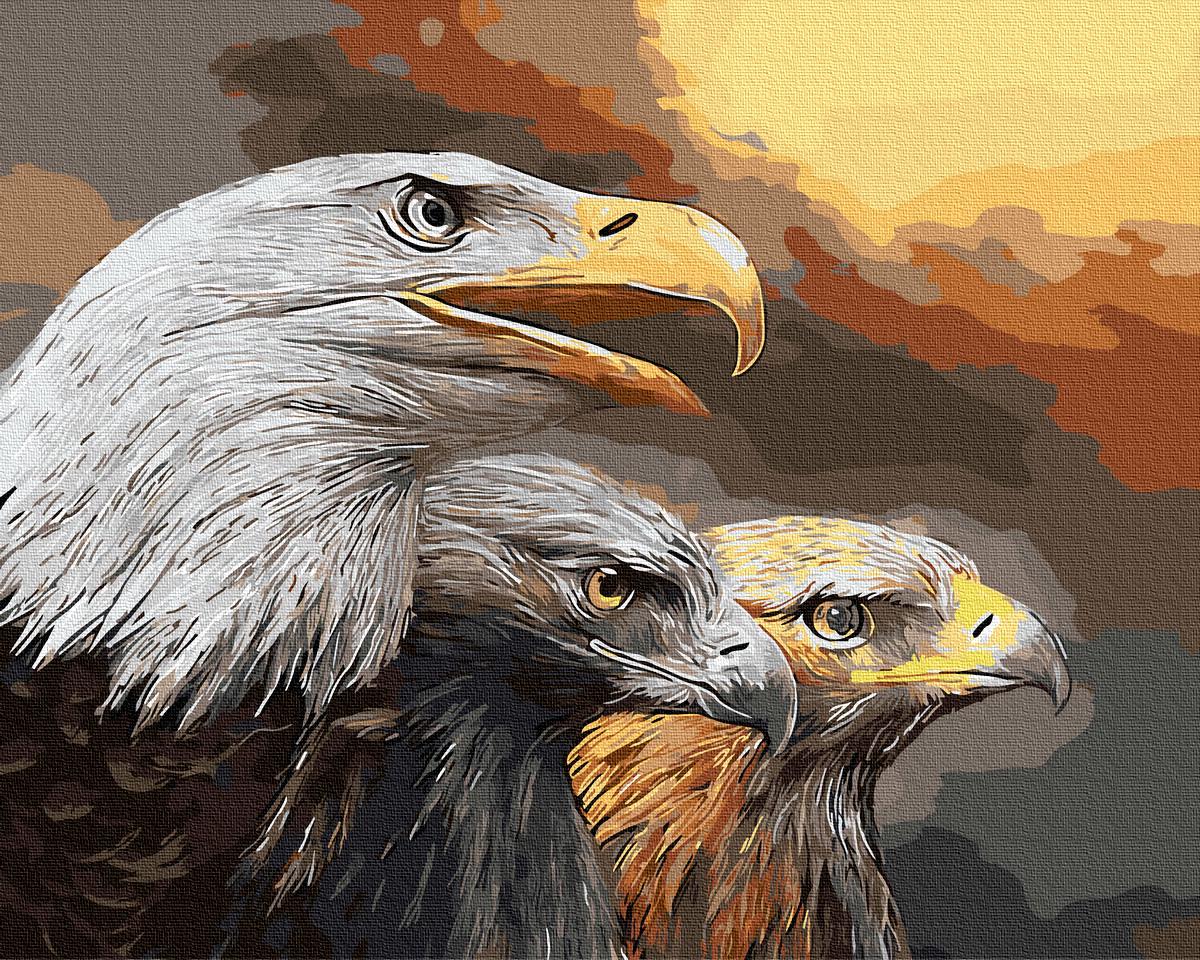 Картина по номерам Brushme GX9631 Орлиный взгляд 40x50 см (1334466736) Картина по номерам Brushme GX9631 Орлиный взгляд 40x50 см (1334466736)
