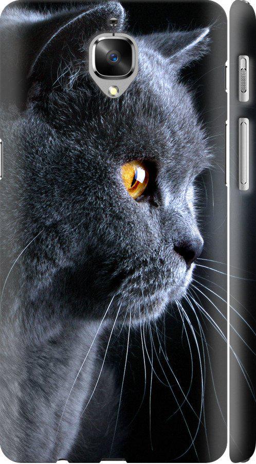 Чехол на OnePlus 3T Красивый кот (3038m-1617-42517)