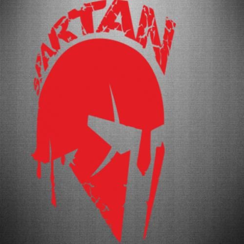 Наклейка Spartan minimalistic helmet 23,8x40 см Красный (21562514)