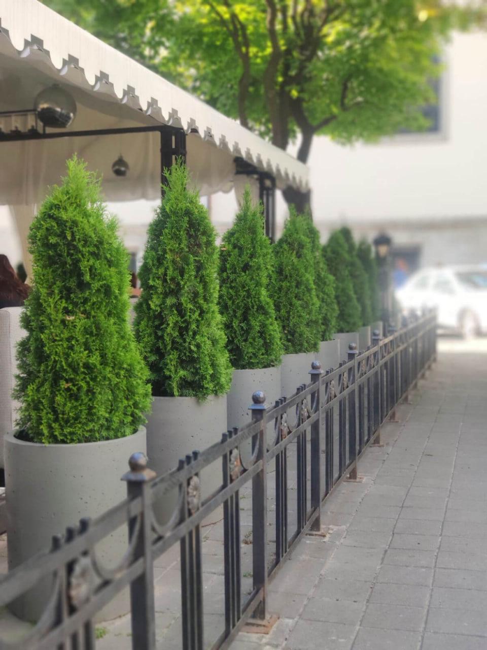 Вазон вуличний бетонний Циліндр 300х500 мм/50 кг/38 л (26484250) - фото 3 Вазон вуличний бетонний Циліндр 300х500 мм/50 кг/38 л (26484250) - фото 3