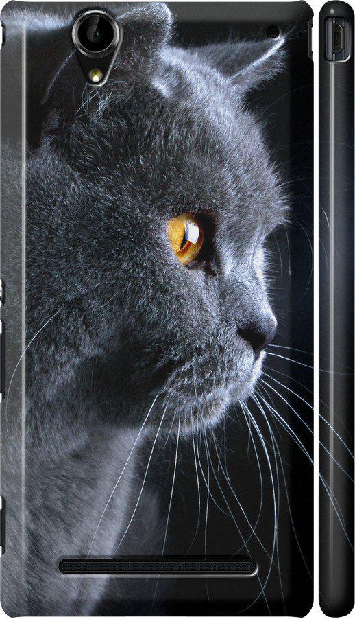 Чехол на Sony Xperia T2 Ultra Dual D5322 Красивый кот (3038c-92-42517)