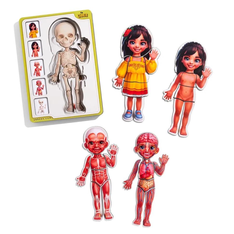 Пазлы деревянные Ubumblebees Анатомия человека строение тела 35 дет. 16х25 см (IP-177-P-1130) Пазлы деревянные Ubumblebees Анатомия человека строение тела 35 дет. 16х25 см (IP-177-P-1130)