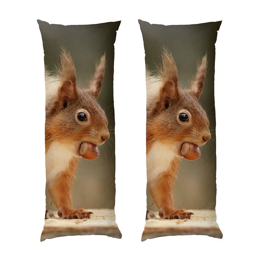 Подушка дакимакура Squirrel with nut габардин 70х30 см (113558)
