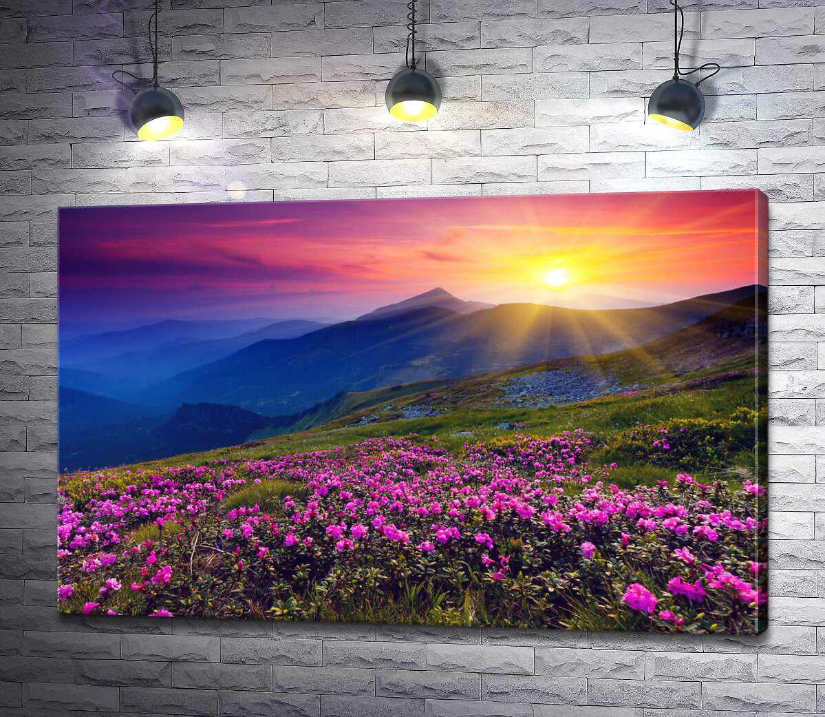 Картина ArtPoster Нежные розовые цветы встречают утро в горах 100x65 см Модуль №1 (002682)