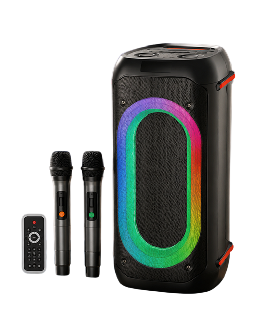 Колонка для караоке ZXX-9095 Bluetooth с 2 микрофонами пультом и LED Черный (ML-06726)
