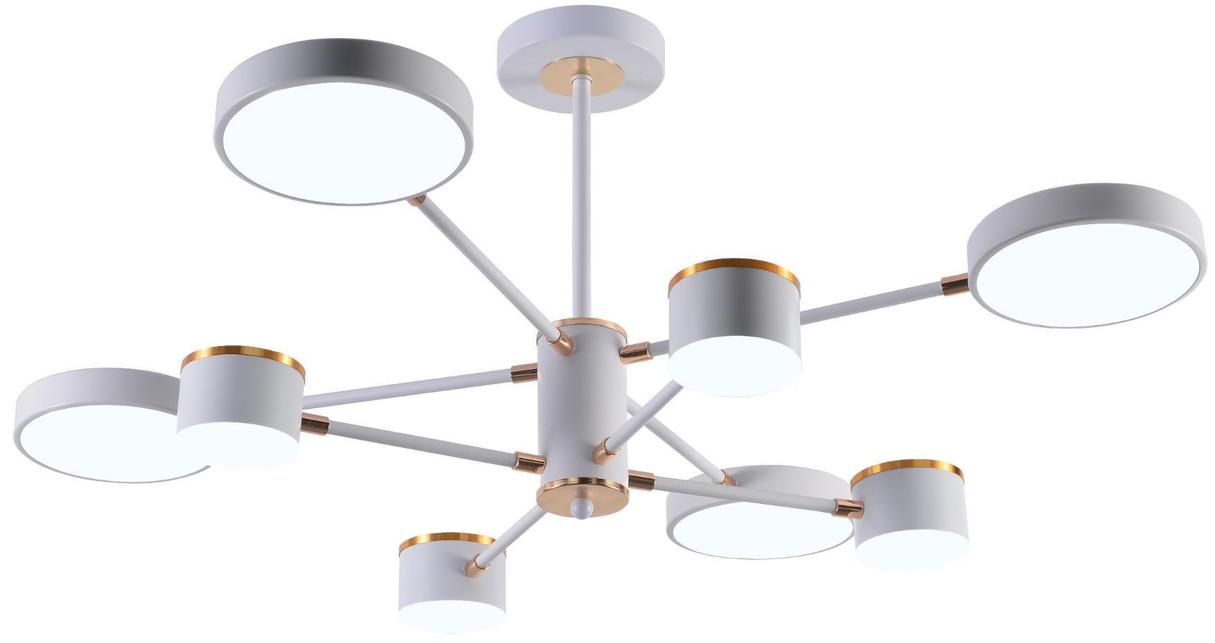 Люстра світлодіодна акрилова Sirius B X13288/8 WT+FGD (26568316)