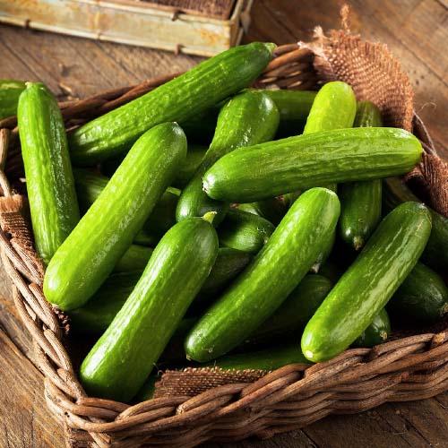 Семена Огірок Florium Ємеля F1 (17043)