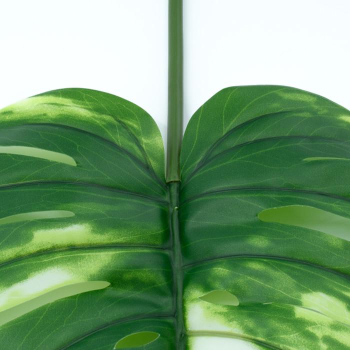 Штучне листя Engard Monstera Alba 71 см (TW-53) - фото 6