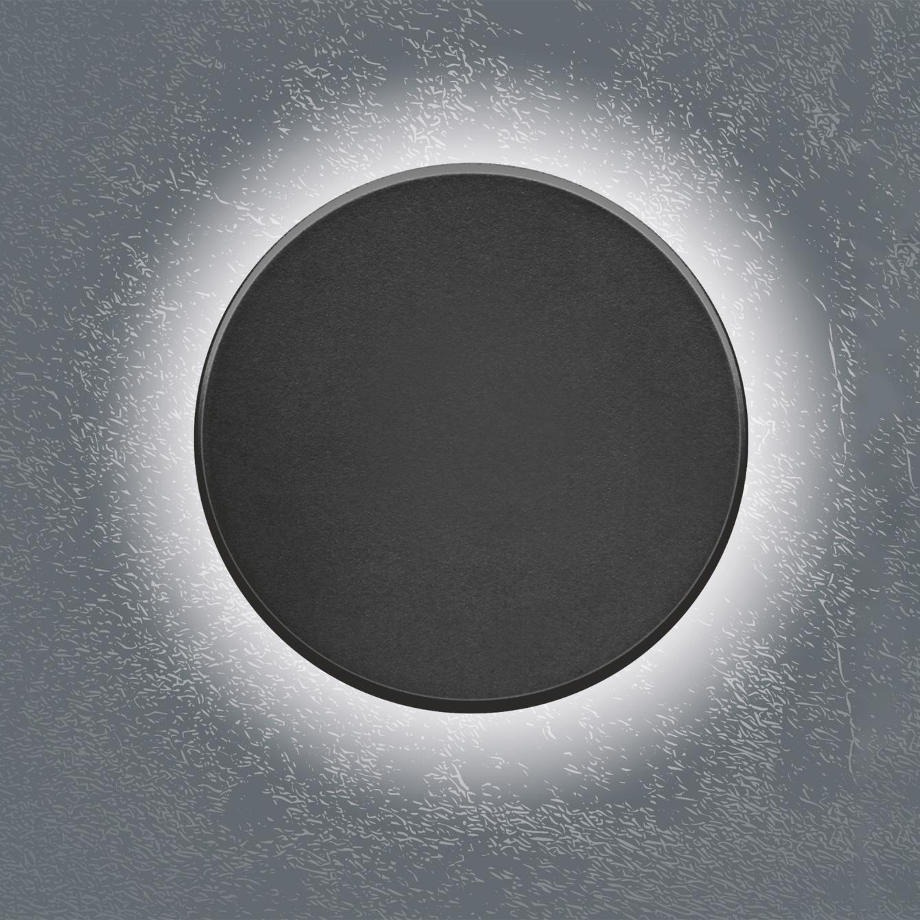 Светильник настенный LED Videx IP65 WL03 12W 3000K-4000K-6500K Black (VL-WL03-12CB) - фото 2 Светильник настенный LED Videx IP65 WL03 12W 3000K-4000K-6500K Black (VL-WL03-12CB) - фото 2