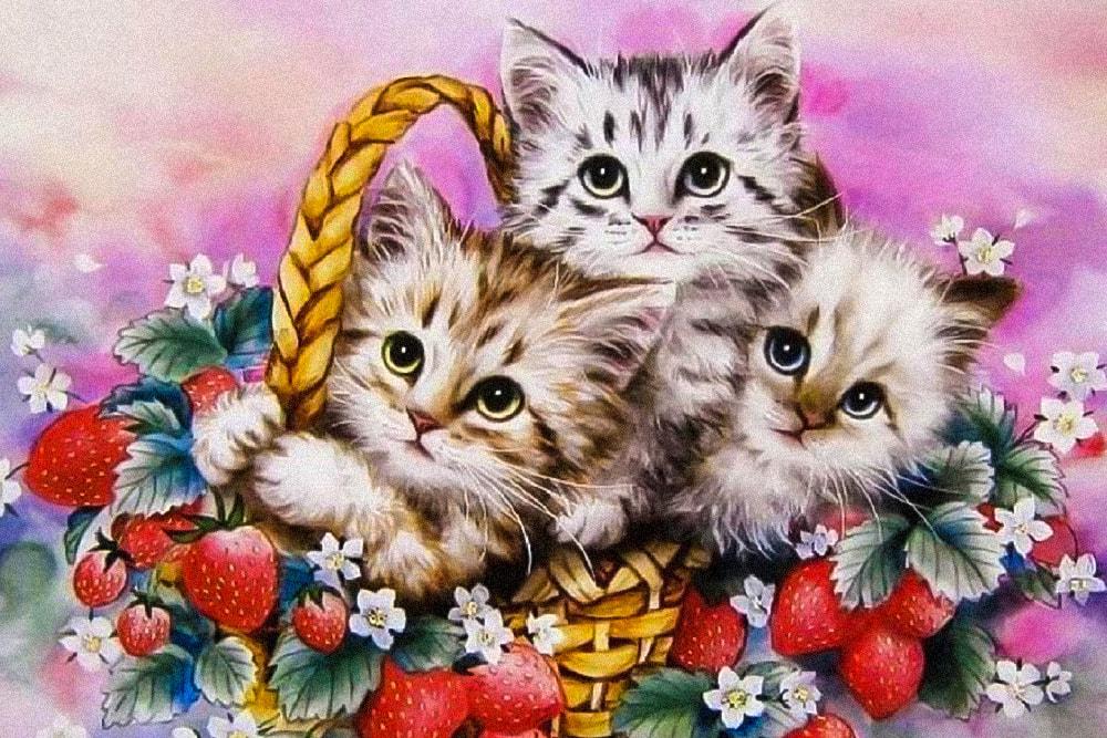 Алмазная мозаика на подрамнике Котята в корзинке DIY-178772 полная выкладка 30x20 см (31723)