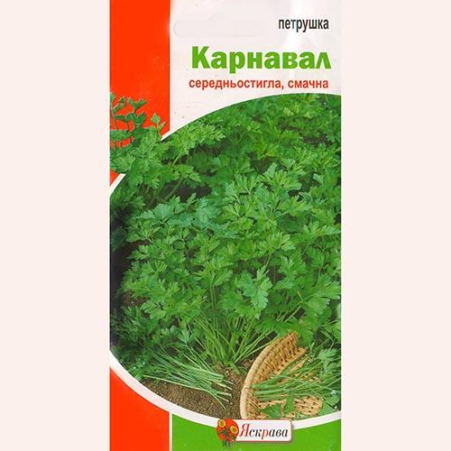 Насіння Петрушка Florium Карнавал пакет гігант (14141) - фото 2 Насіння Петрушка Florium Карнавал пакет гігант (14141) - фото 2