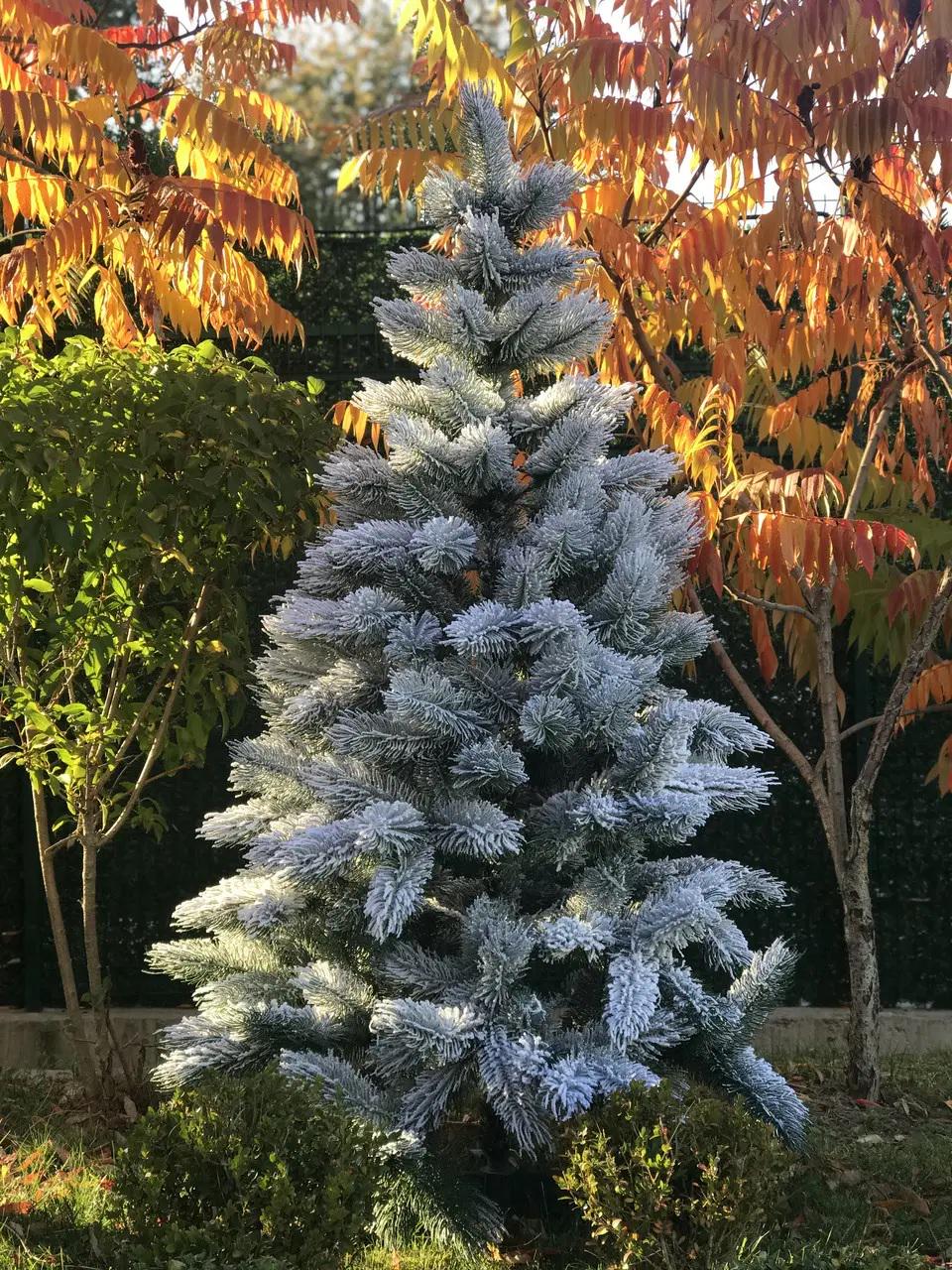 Сосна новогодняя литая HVOYA Заснеженная 1,8м Зеленый (800/180/GS) - фото 1 Сосна новогодняя литая HVOYA Заснеженная 1,8м Зеленый (800/180/GS) - фото 1