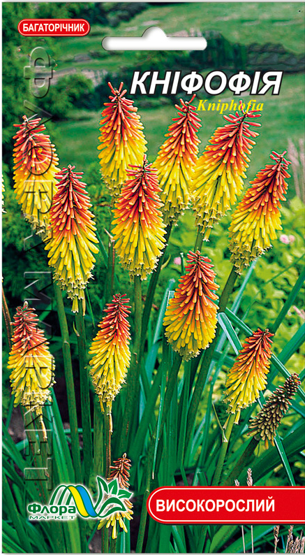 Семена Книфофия желто-оранжевая многолетняя высокорослая 0.10 г (46862)