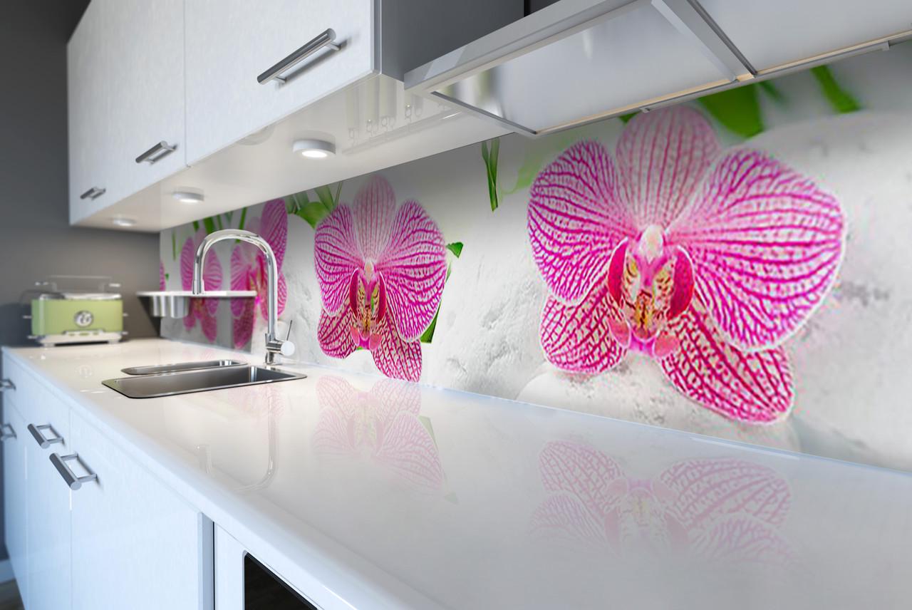 Кухонный фартук Деликатные орхидеи из самоклеющейся виниловой пленки 65х250 см Белый