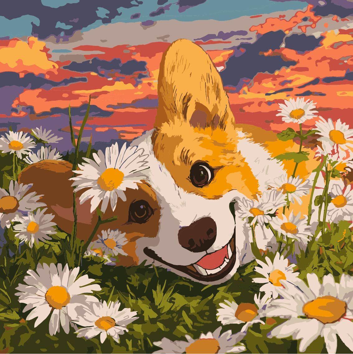 Картина по номерам Ideyka Корги в ромашках 40х40 см (2867221881)