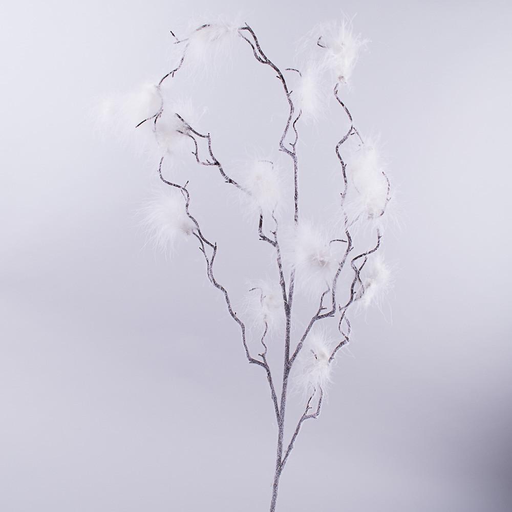Ветка с белым перьями