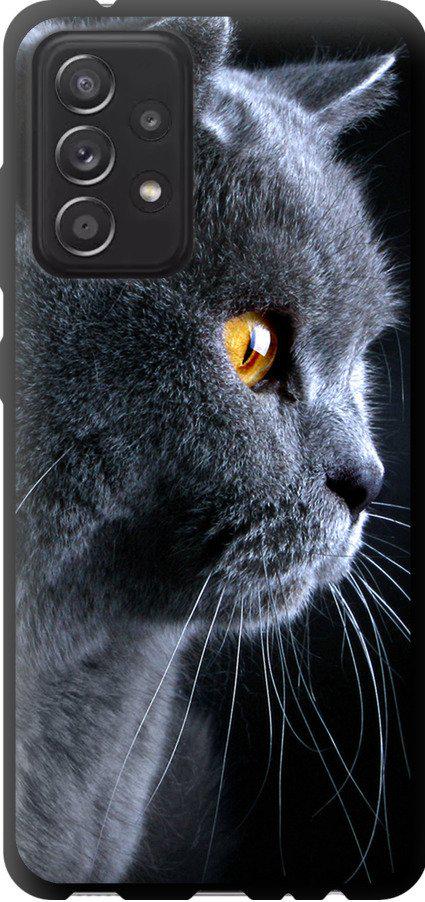 Чехол на Samsung Galaxy A52s 5G A528B Красивый кот (3038b-2583-42517)