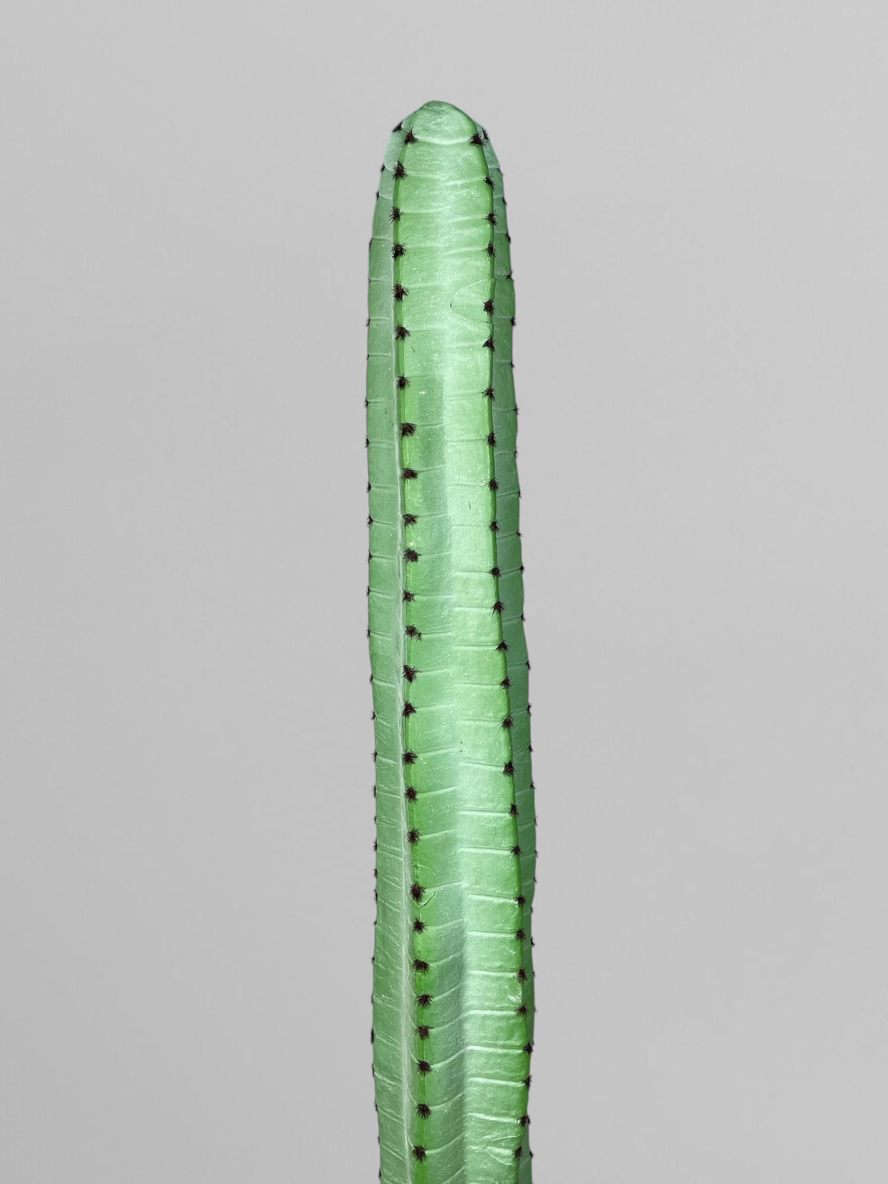 Искусственный кактус 100 см Зеленый (Р06001) - фото 2