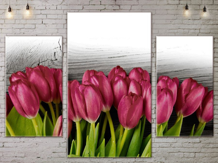Картина модульная ArtStar Тюльпаны ADFL0119 120х180 см 3 части