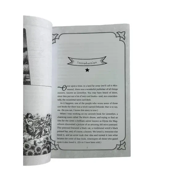 Подарочный набор Ежедневное Таро Ведьм книга и карты 78 шт. - фото 4