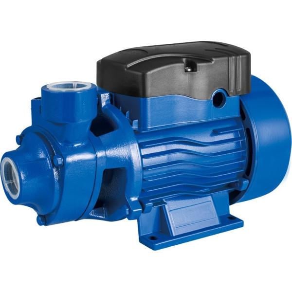 Насос для перекачки воды Rewolt 220 В (RE SLWQB60)