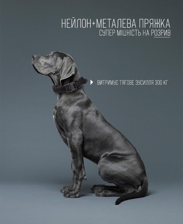 Нашийник з повідцем для собак Harness нейлоновий з металевою пряжкою-фастекс M 38-47 см Чорний (1461774648) - фото 3 Нашийник з повідцем для собак Harness нейлоновий з металевою пряжкою-фастекс M 38-47 см Чорний (1461774648) - фото 3