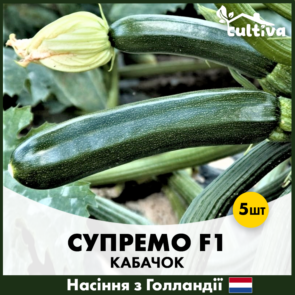 Семена кабачки Syngenta Супремо F1 5 шт. (00373)