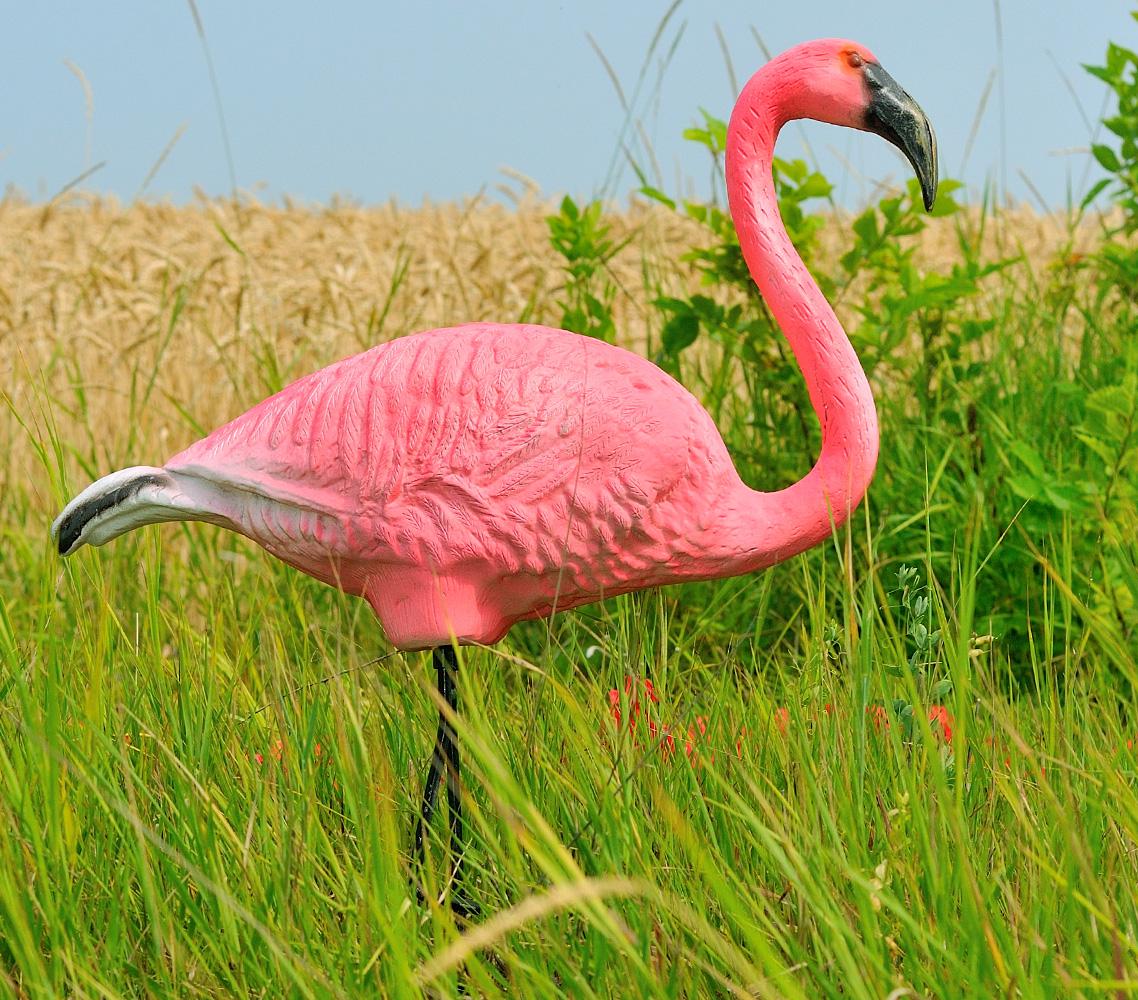 Садова фігура Фламінго на металевих лапах 88 см (33)