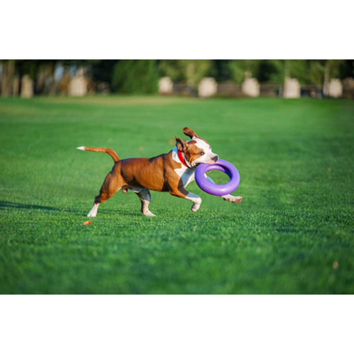 Тренувальний снаряд для собак PULLER Мaxi D 30 см (25881235) - фото 6 Тренувальний снаряд для собак PULLER Мaxi D 30 см (25881235) - фото 6