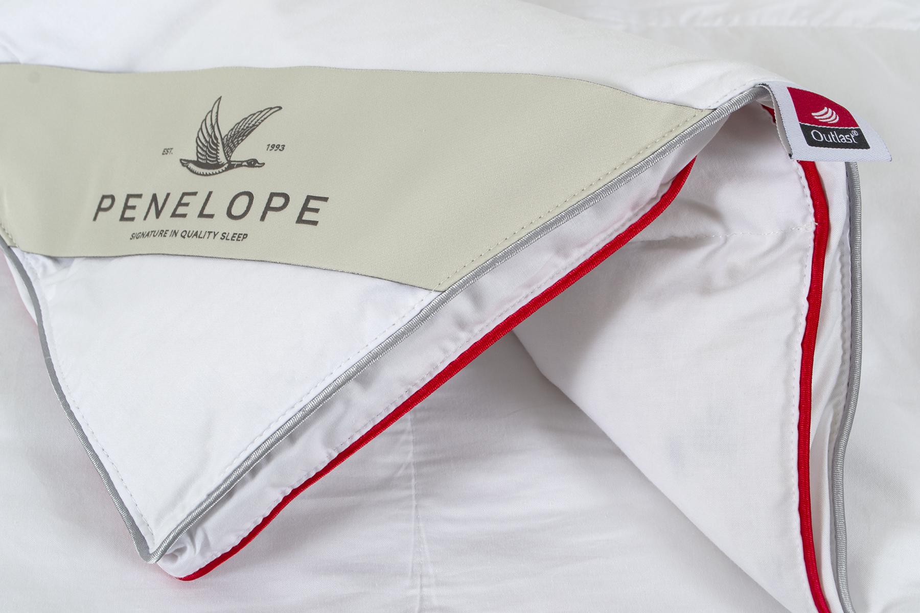 Одеяло Penelope Thermy пуховое полуторное 155х215 см (11683193) - фото 3 Одеяло Penelope Thermy пуховое полуторное 155х215 см (11683193) - фото 3