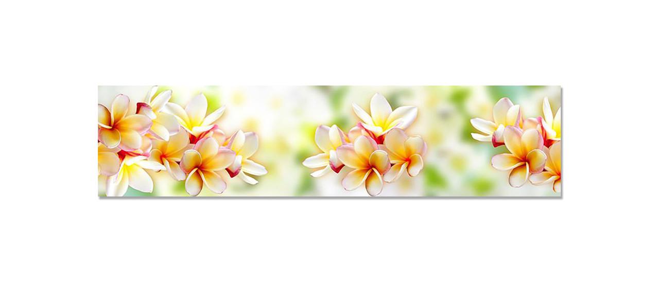 Наклейка виниловая на кухню Zatarga Гавайские Леи 600х2500 мм (1294193501) Наклейка виниловая на кухню Zatarga Гавайские Леи 600х2500 мм (1294193501)