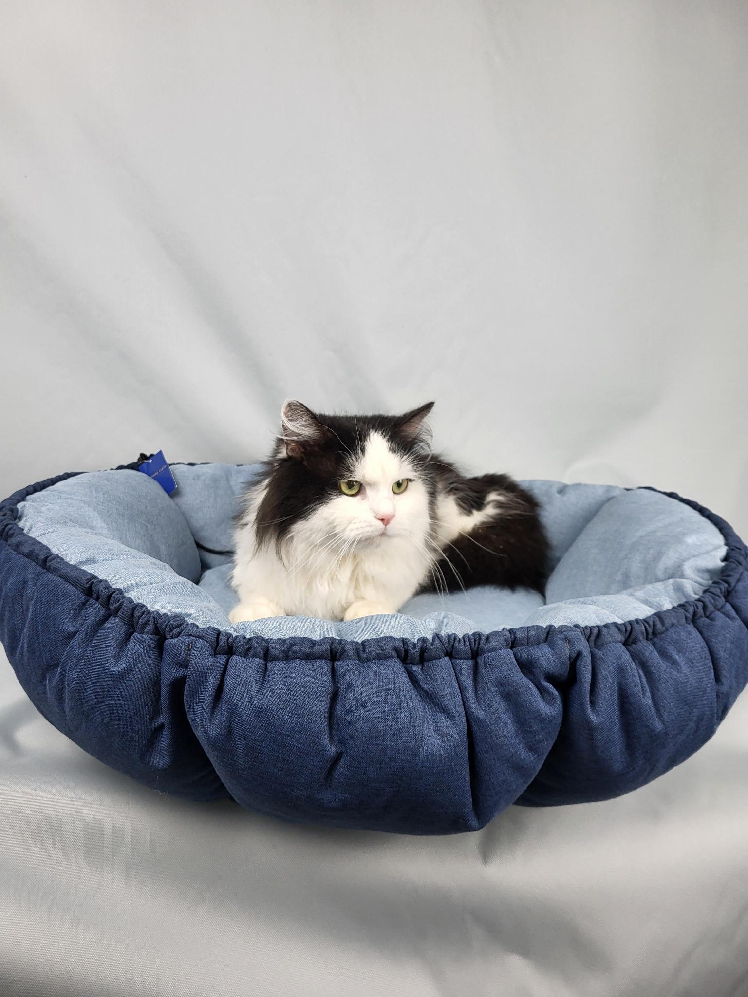 Лежанка для собак та котів 75x75 см Синій (2332) - фото 2 Лежанка для собак та котів 75x75 см Синій (2332) - фото 2