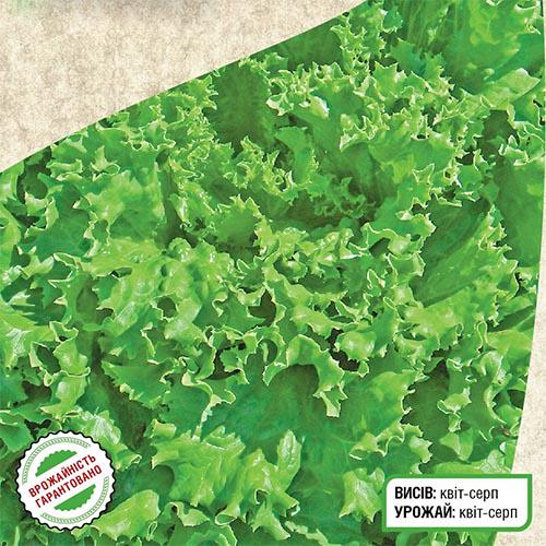 Семена Салат Florium Лолло Біонда (3390) - фото 2