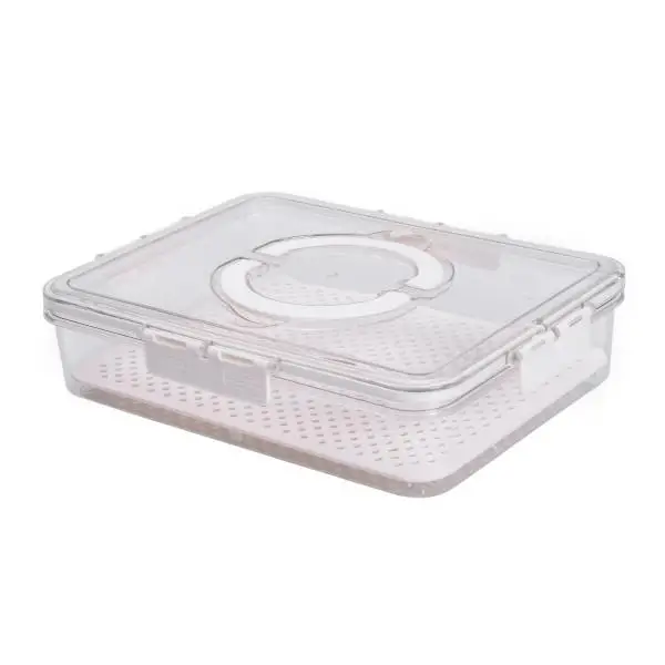 Контейнер для зберігання продуктів YIWU із дренажною підставкою на 2,5 л 31х24х7 см Білий (147-107-HP-27-10)