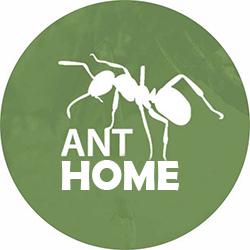 Ant Home