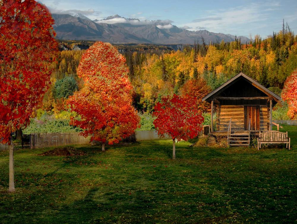 Картина на холсте Природа 50х70 см (N325)