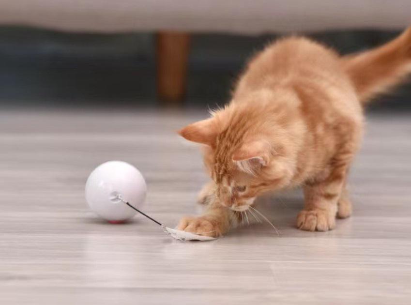 Іграшка для котів 11024 6х6 см Білий (4570043) - фото 2 Іграшка для котів 11024 6х6 см Білий (4570043) - фото 2