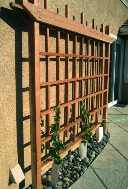 Пергола-шпалера из дерева Эрбиль Мускат (ПШЕ-000607)