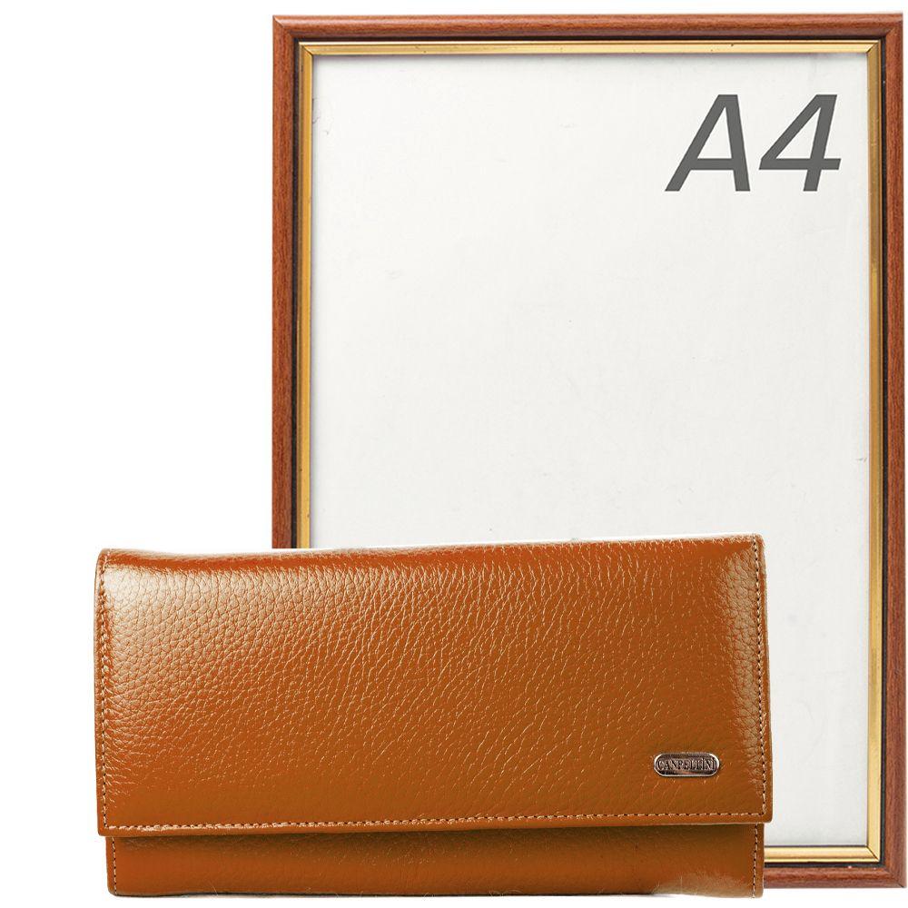 Кошелек женский кожаный CANPELLINI 1205 Коричневый - фото 8 Кошелек женский кожаный CANPELLINI 1205 Коричневый - фото 8