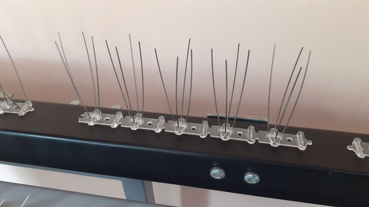 Шипи від птахів Roll Grand 0,25 м (2351302247) Шипи від птахів Roll Grand 0,25 м (2351302247)