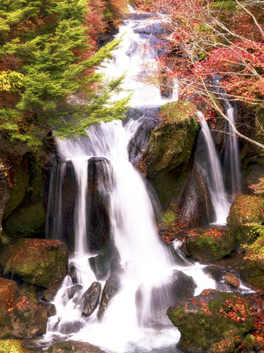 Картина по номерам "Водопад" 40x50 см (РНК-457)