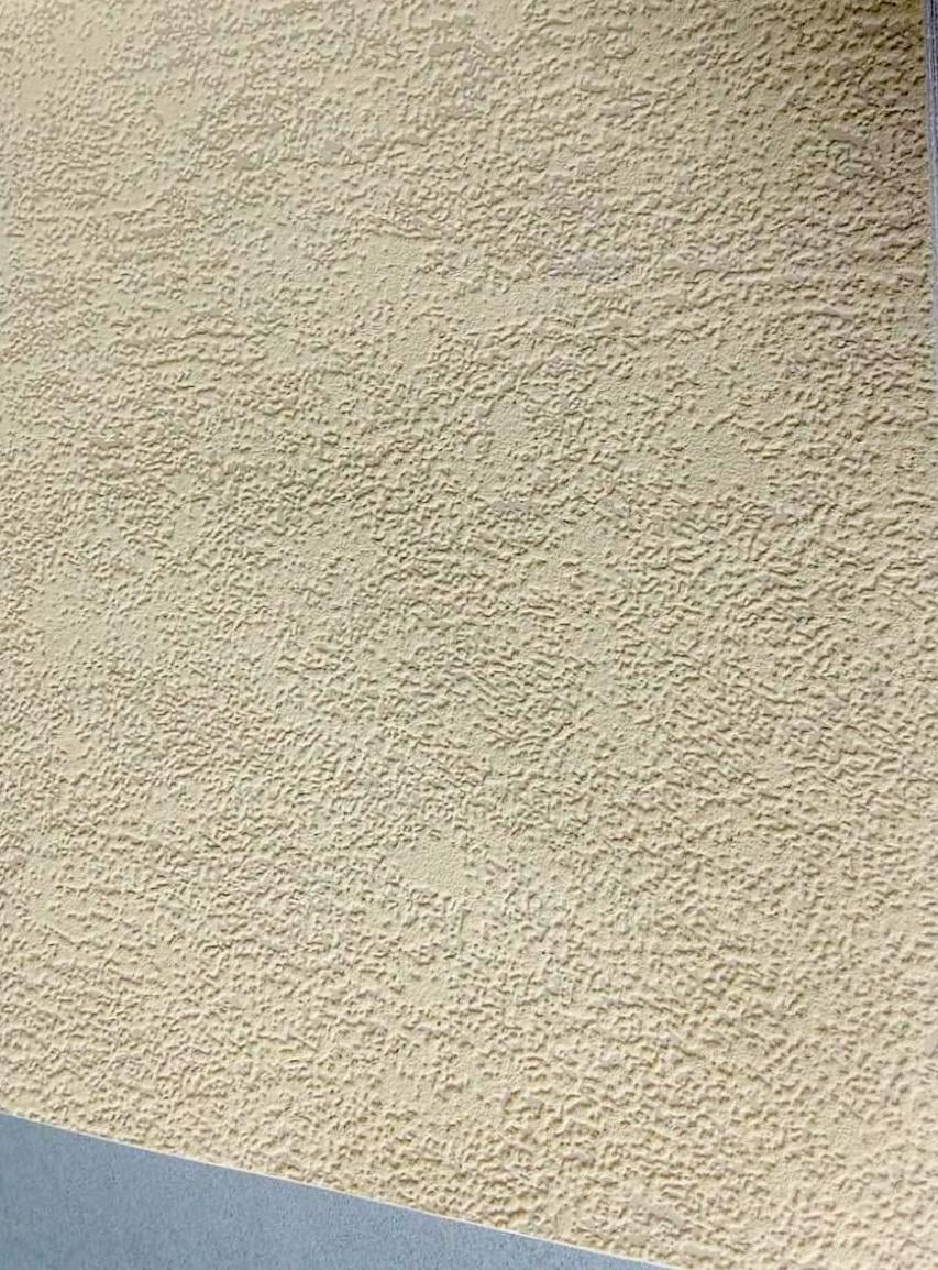 Обои виниловые BN International Ugepa Home 10,05х0,53 м на флизелиновой основе (194-14) - фото 4