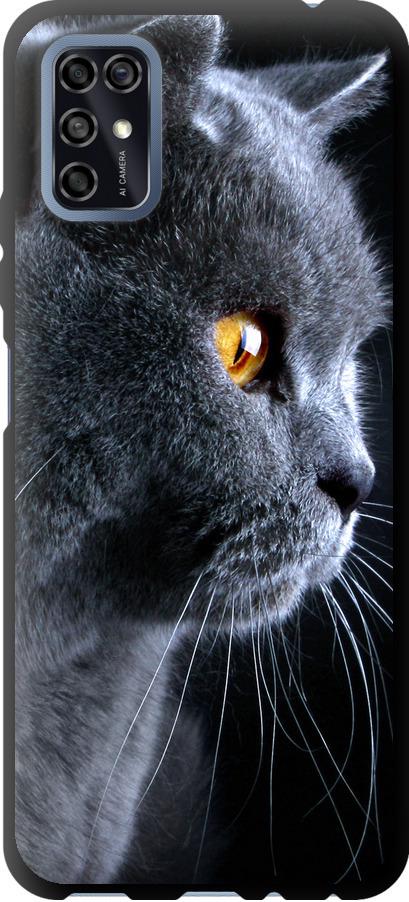 Чехол на ZTE Blade V2020 Smart Красивый кот (3038b-2458-42517)
