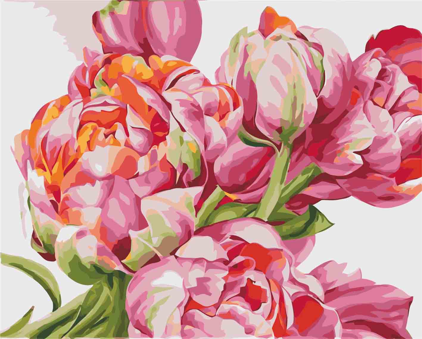 Картина за номерами Ідейка "Коралові півонії" 40х50 см (KH2081)