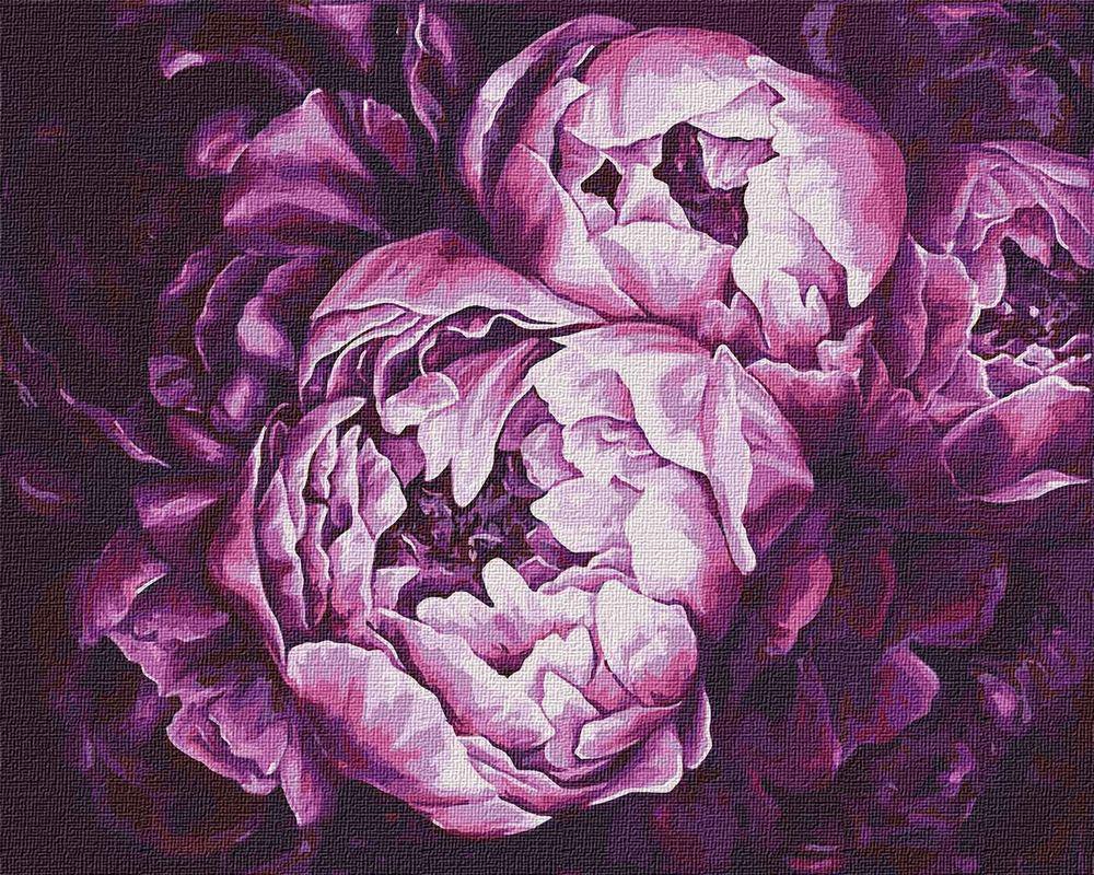 Картина за номерами Ідейка KHO2076 Буйство Фарб 50x40 см (27907)